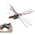 Primevil flytech carnivorous pterosaur