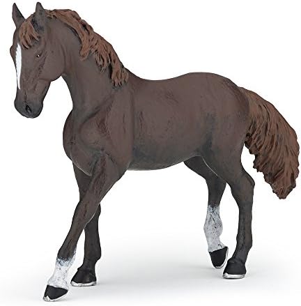 Dark Alezan English Mare