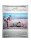 ZEUS GUN DOG TRAINING  ---  Training The Pointing Dog