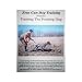 ZEUS GUN DOG TRAINING  ---  Training The Pointing Dog
