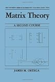 Matrix Theory: A Second Course (University Series in Mathematics)