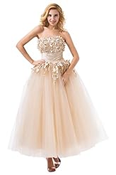 Strapless Mesh Evening Dress/Prom Dress 