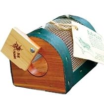 Cedar-Wood Bug House with Mesh Screen (Bug, Insect, Critter Collector)