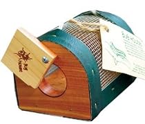 Cedar-Wood Bug House with Mesh Screen (Bug, Insect, Critter Collector)