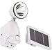 Esotec 102402 Solar Wandstrahler mit Bewegungsmelder