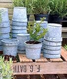 Review Grand Illusions  / Round Zinc Planter - Small