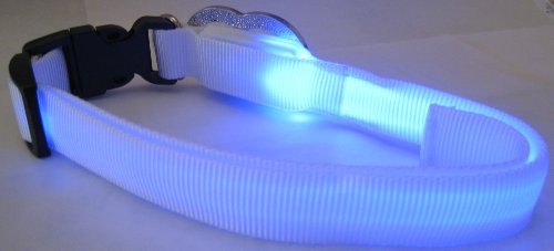 Image #4 of White Nylon Webbing