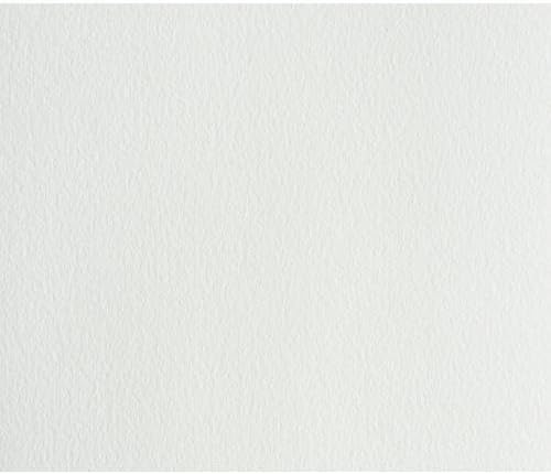 Arches for Oil 56x76cm 300gsm - 10 sheet pack