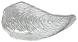 Clear Glass Large Oyster Plate 15"x7"