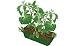 Sprout 'n Grow Greenhouse - Tasty Tomatoes