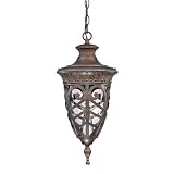Nuvo Lighting Aston Outdoor Hanging Pendant