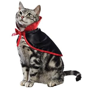 Petco Vampire Cape Halloween Cat Costume, One Size Fits Most