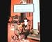 A Handful of Dust (Twentieth Century Classics S.)