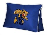 Kentucky Wildcats Sideline Wedge Pillow
