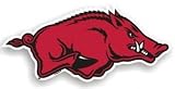 Arkansas Razorbacks Car Magnets (Set of 2)