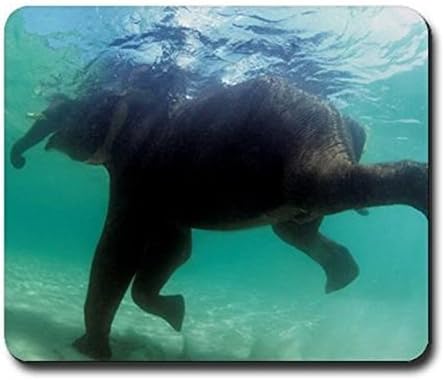 Generic Asian elephant (Elephas maximus) Mousepad