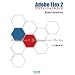 Adobe Flex 2�v���t�F�b�V���i���K�C�h Windows & Macintosh�Ή�