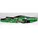 Border Collie - Green Collar and Lead Set