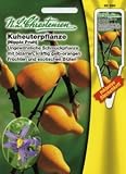 Eigenschaften Chrestensen  / Kuheuterpflanze (Portion inklusive Stecketikett)