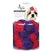 Aria Polyester Spring Fling Dog Barrettes Canisters, 2-Inch, 28-Pack, Raspberry Sorbet and Ultraviolet