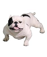 アメリカン ブリー ドッグ ブラック&ホワイト 1/6 フィギュア ABD003