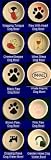 Dapper Ceramic Dog Food Bowls in 20 designs : Design TIPSY OLIVE : Personalization : Size XSMALL - 8 OUNCE