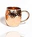 Inspired Basics Solid Copper Moscow Mule No Tin or Nickel Lining Mug Hammered Type Copper Mug 16 Oz Capacity