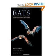 Bats of the United States and Canada