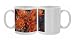 Photo Mugs of NA, USA, Arizona, from Danita Delimont