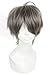 ROLECOS Mens Short Straight Anime Cosplay Wigs Fluffy Synthetic Hair Wig Grey JF532