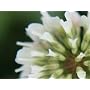 Close-Up Set 58mm f�r Makrofotografie 4-tlg. Plati&hellip von Delamax