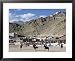 Game of Polo on Leh Polo Field, Tsemo Gompa on Ridge Behind, Leh, Ladakh, India Colle...