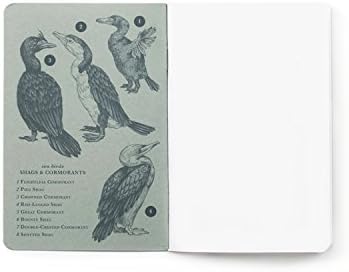 NELOS Pocket Notebook: Seabirds, Blank, 48 pages, 3.6 x 5.5, Set of 3
