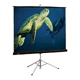 Draper Diplomat Portable Tripod Projection Screen - Square Screen (70 W x 70 H)