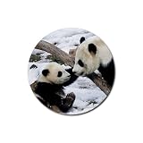 Panda bears Round Rubber Coaster set 4 pack Great Gift Idea