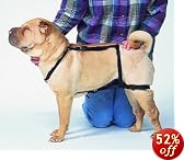 This item last updated: Nov 02, 2010