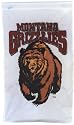 28" X 48" Montana Grizzlies Applique Flag