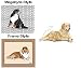 golden_retriever18golden retriever - Golden Retriever Lying Down Mouse Pad