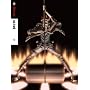 D.Gray-man 2nd stage 10