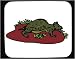 Decorated Mouse Pad with Mexico, reptile, animal, lizard