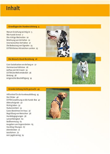 Hundeerziehung: Sozialisierung, Ausbildung, Problemlösung