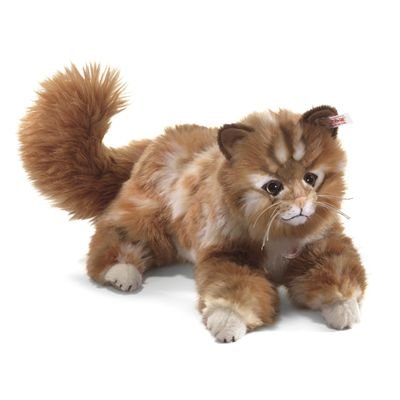 Mizzy Maine Coon cat masterpiece, ginger tabby