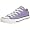 Aster Purple