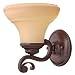 Hinkley Lighting 5790AZ Autumn Bronze Salvador Tuscan Single Light Bathroom Fixture f...