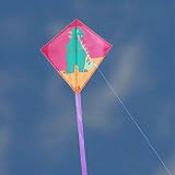 Brookite Mini Tube - Dinasaur Kite