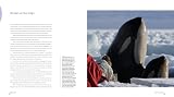 picture of Frozen Planet
