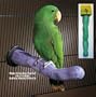 Sweet Feet and Beaks 13003 Medium Safety Pumice Perch