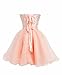 Fashion Plaza Strapless Homecoming Dress Short D0147