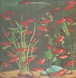 2 LP UK VIRGIN 1975 4 TRACK MATRIX A1U/B1U (V2032)