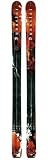 DYNASTAR LEGEND PRO RIDER XXL SKIS NEW 2009 Model
